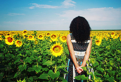 在线短信轰炸机